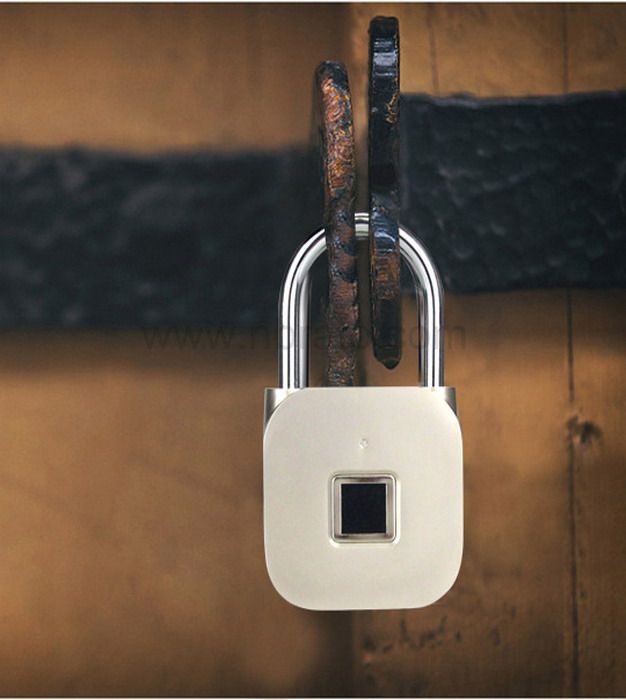 2020 new product high quality waterproof smart lock small keyless electronic lock Fingerprint padlock 