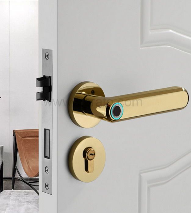 new product Zinc Alloy Material Handle Electronic Smart Fingerprint Door Lock 