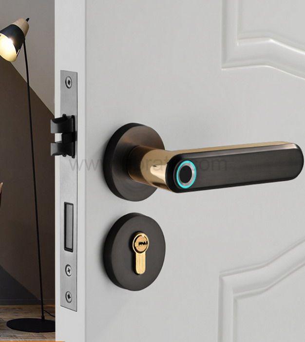 2020 new product Zinc Alloy Material Handle Electronic Smart Fingerprint Door Lock 