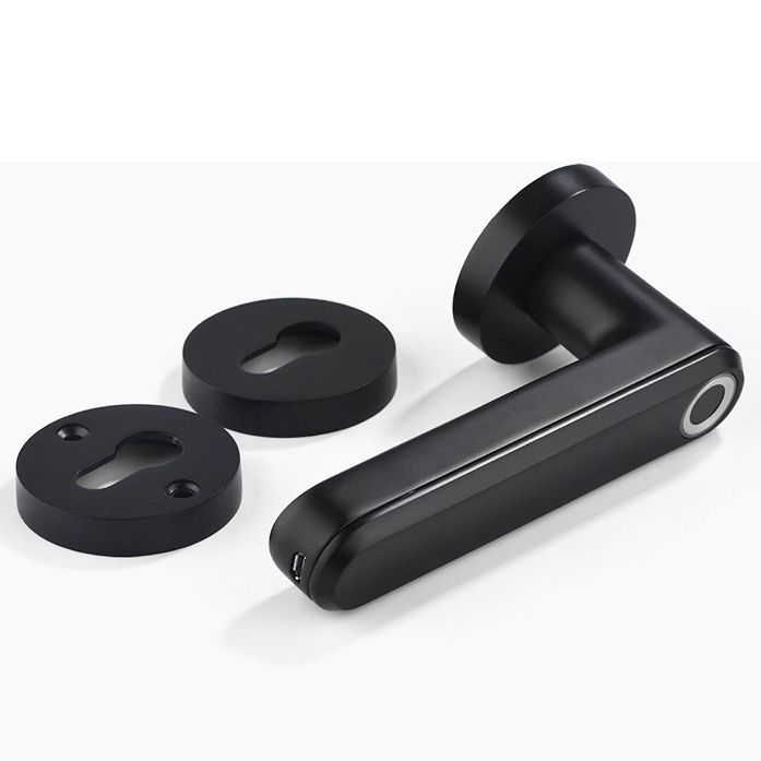 2020 new product Zinc Alloy Material Handle Electronic Smart Fingerprint Door Lock