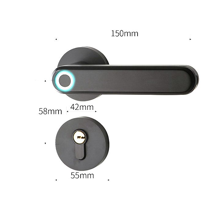2020 new product Zinc Alloy Material Handle Electronic Smart Fingerprint Door Lock