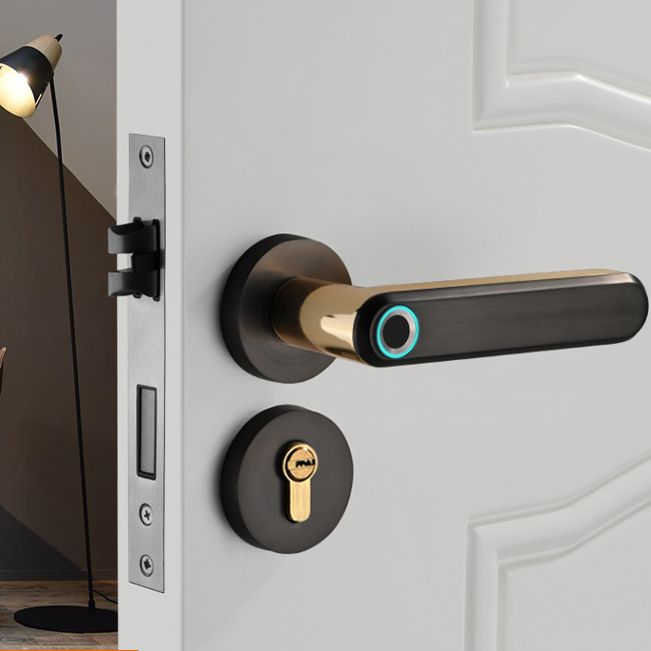 2020 new product Zinc Alloy Material Handle Electronic Smart Fingerprint Door Lock