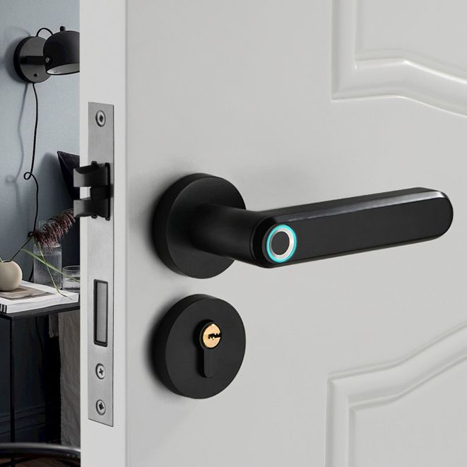 2020 new product Zinc Alloy Material Handle Electronic Smart Fingerprint Door Lock