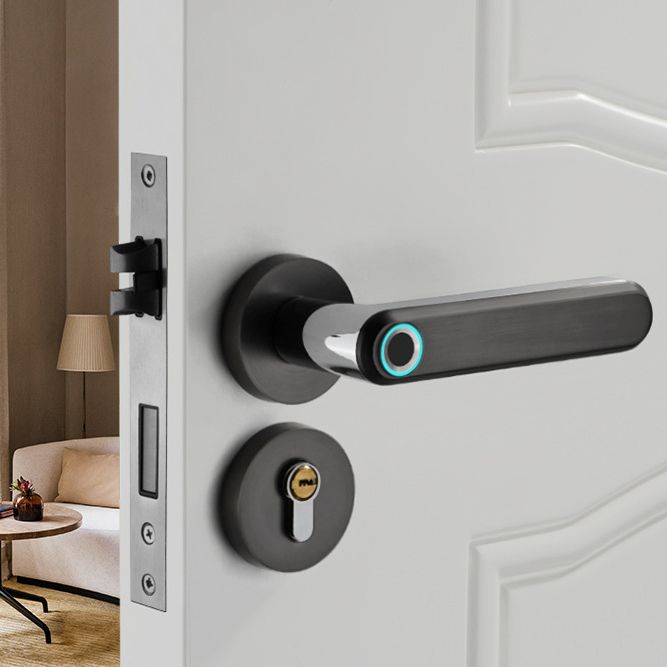 2020 new product Zinc Alloy Material Handle Electronic Smart Fingerprint Door Lock