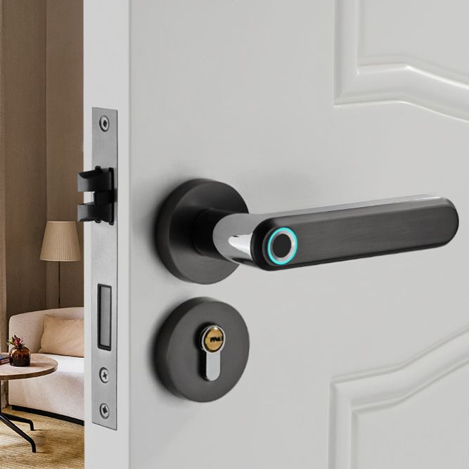 2020 new product Zinc Alloy Material Handle Electronic Smart Fingerprint Door Lock